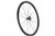 Campagnolo Bora WTO 33 Disc Brake Carbon Wheelset 