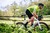 Castelli Mens Superleggera Bibshort 
