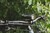 Exposure Lights Toro Mk13 MTB Front Light 