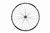Easton EA70 AX Disc 700c Adventure Wheel 