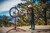 Feedback Sports Pro Mechanic Repair Stand 