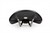 Fizik Vento Antares R3 Open Saddle  