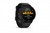 Garmin Forerunner 955 Solar Training Status