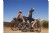 IRC Boken Plus Tubeless 650b Gravel Tire IRC Boken Plus Tubeless 650b Gravel Tire
