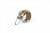 Knog Oi Luxe Bell Small Brass