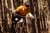 Oakley Kato Sunglasses 2022 