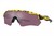 Oakley Radar EV Path TDF Sunglasses 