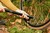 Portland Design Works Cloud Cap Gravel Pump 