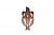 Portland Design Works Sparrow Cage Rose Gold