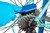 Park Tool GSC-4 Cassette Cleaning Brush 