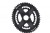 Rotor Direct Mount 2x Chainring Set Oval