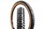 Schwalbe BIG BETTY Super Gravity 29 Inch MTB Tire 29 x 2.4 - Tan Wall