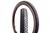 Schwalbe RACING RAY Super Race 29 Inch MTB Tire 