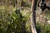 Schwalbe NOBBY NIC Super Ground 29 Inch MTB Tire 