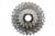 Shimano Dura-Ace CS-R9200 12-Speed Cassette 