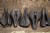 Velo Saddles Angel TT Saddle The Velo Saddles Family Of Saddles