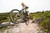Vittoria Agarro G2.0 TNT 27.5 Inch MTB Tire 