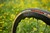 Vittoria Corsa G2.0 Road Tire 