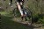 WTB Venture TCS 650B x 47mm Gravel Tire WTB Venture TCS 650B x 47mm Gravel Tire
