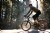 Teravail Sparwood 29 Inch Adventure Tire 