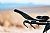 Zipp Vuka Shift AXS 90 Carbon Handlebar Extension Zipp Vuka Shift AXS 90 Carbon Handlebar Extension