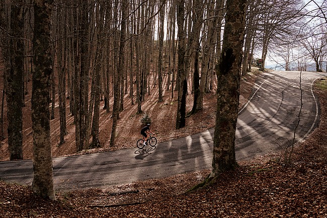 Colnago C72 Frameset 