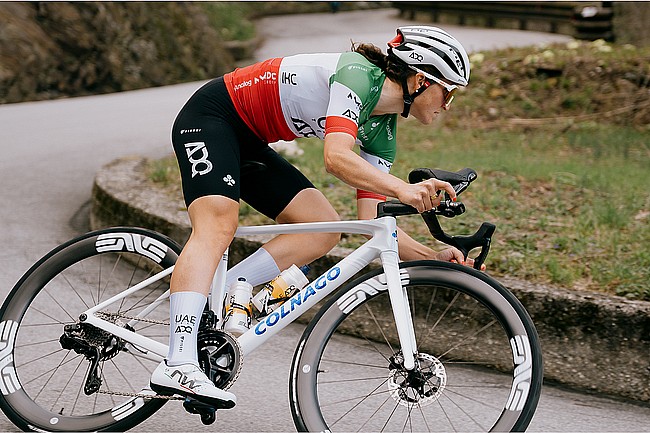 Colnago V5Rs Frameset  