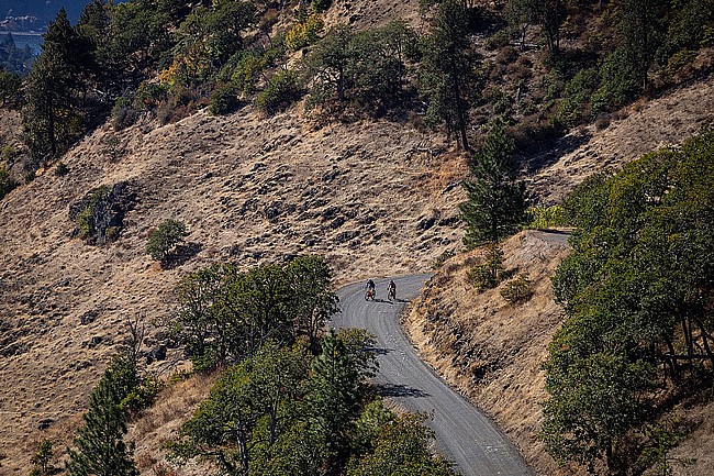 Continental Terra Competition Gravel Tire 