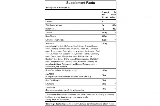 Hammer Nutrition Fully Charged 