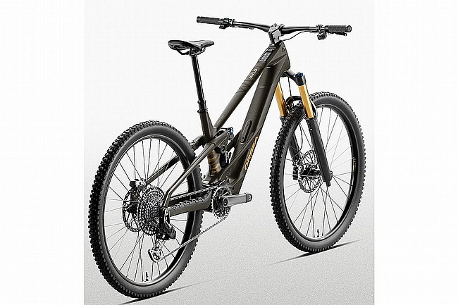 Orbea WILD LT M-Team RS 20 Avinox M2S E-Mountain Bike Magic Gold/Titan
