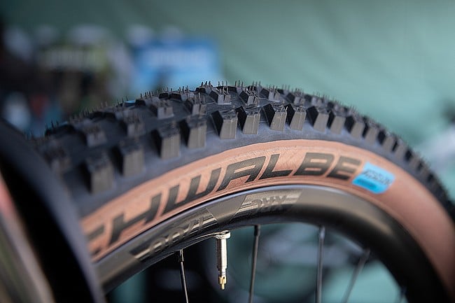 Schwalbe Wicked Will 29 Inch MTB Tire 