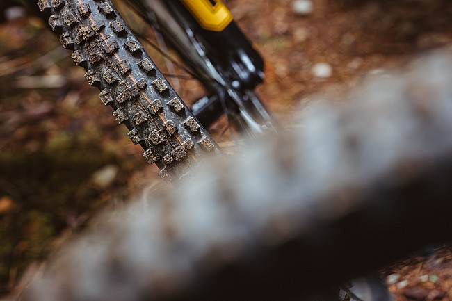 Schwalbe Romy Trail PRO 29 Inch MTB Tire 