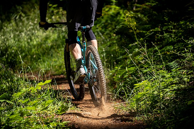 Schwalbe Romy Trail PRO 29 Inch MTB Tire 