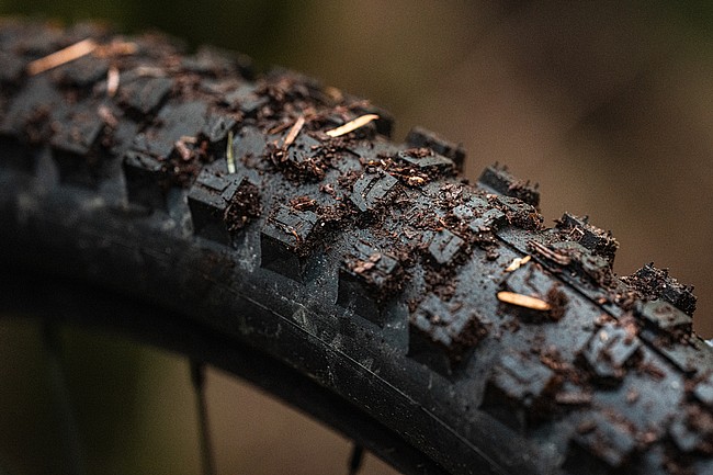 Schwalbe Romy Race PRO 29 Inch MTB Tire 