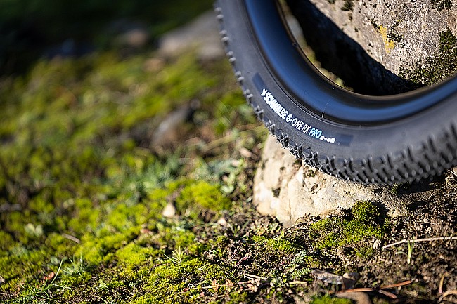 Schwalbe G-One RX PRO 700c Gravel Tire 