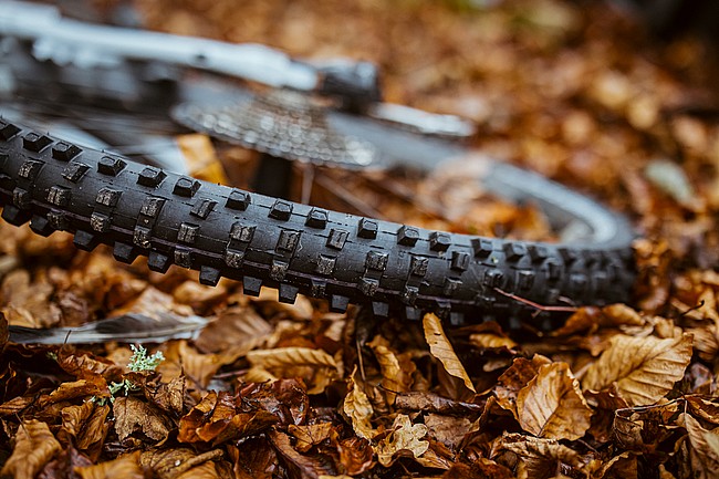 Schwalbe Shredda Gravity PRO Rear 29 Inch MTB Tire 