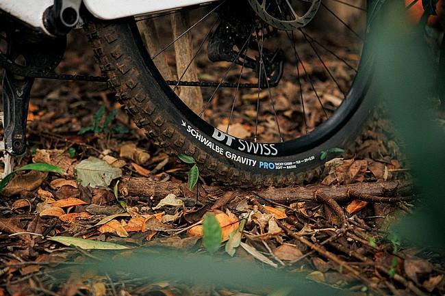 Schwalbe Tacky Chan Gravity PRO 29 Inch MTB Tire 