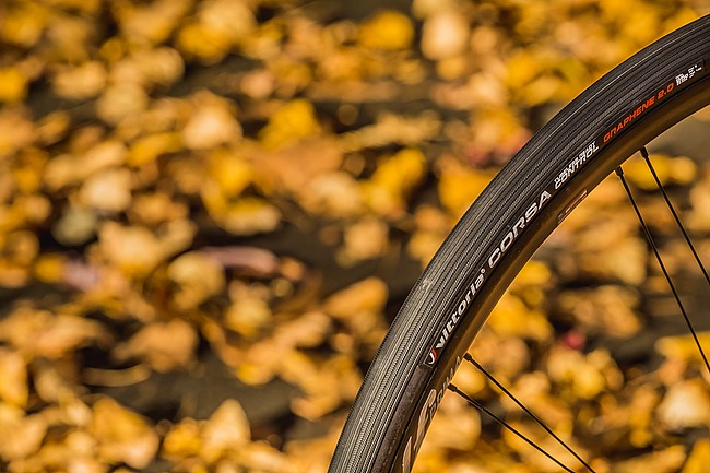 Vittoria Corsa Control G2.0 TLR Road Tire 