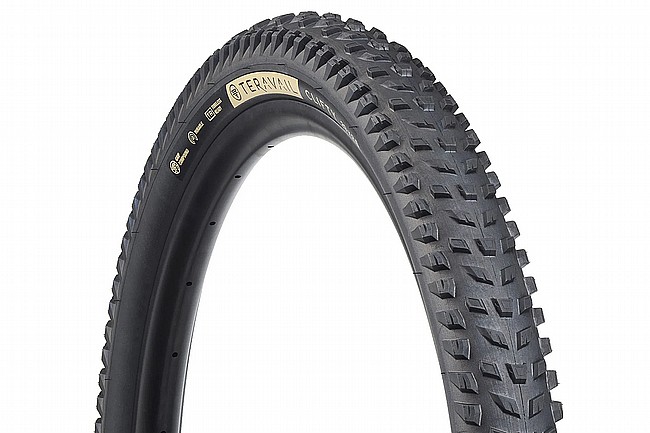 Teravail Clifty 29 Inch MTB Tire  