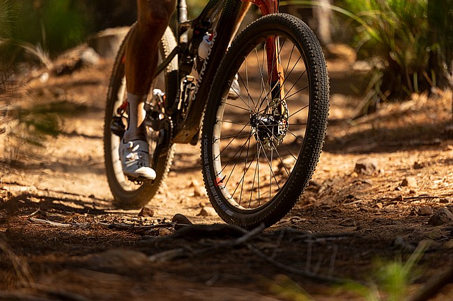 Reserve 30|XC DT Swiss 350 DF Carbon 29" MTB Wheelset 