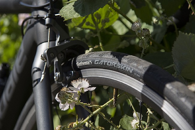 Continental Gatorskin Black Edition 700c Road Tire Continental Gatorskin Black Edition 700c Road Tire