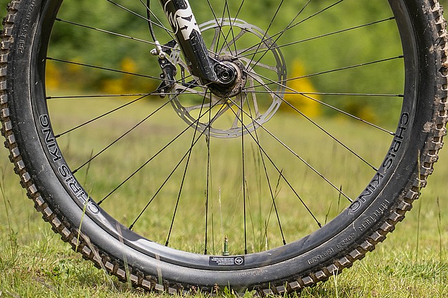Chris King MTN30 29" Mountain Bike Wheels 