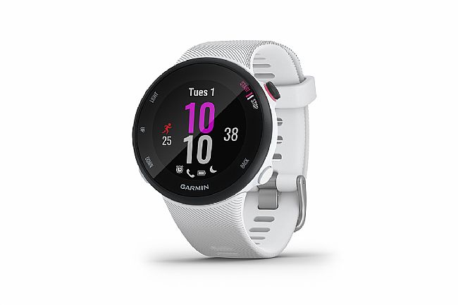 forerunner s45
