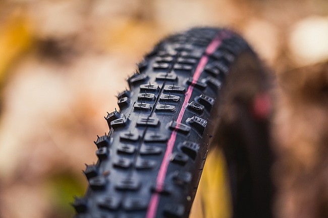Schwalbe RACING RALPH Super Ground 29 Inch MTB Tire 