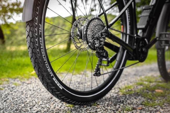 Schwalbe AL GROUNDER 29 Inch Tire 