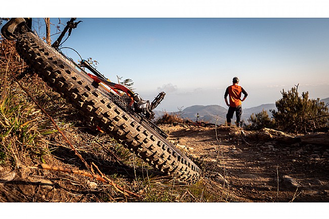 Schwalbe NOBBY NIC Super Ground 29 Inch MTB Tire Schwalbe NOBBY NIC Super Ground 29 Inch MTB Tire