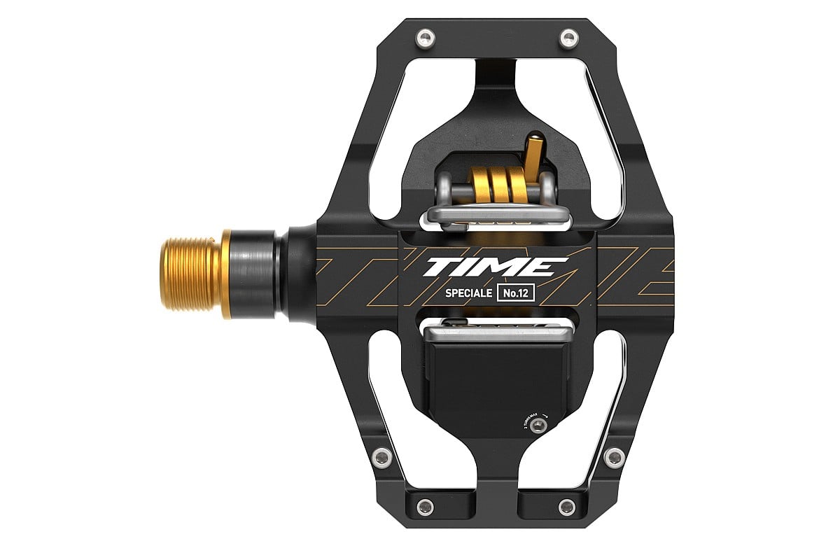 Black/Gold - Large